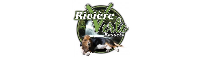 Exclusivité Rivière Verte Bassets